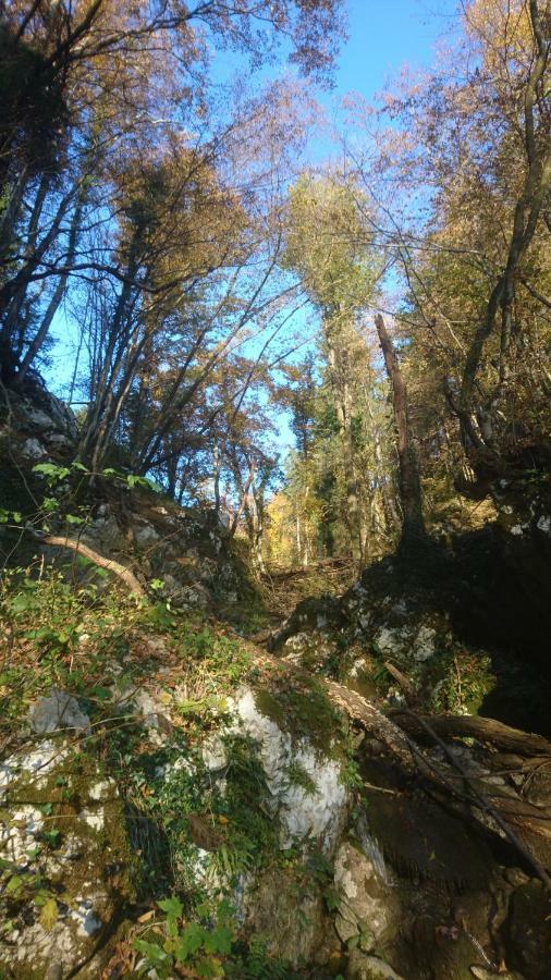 Apartment Sovdat Tolmin Zewnętrze zdjęcie